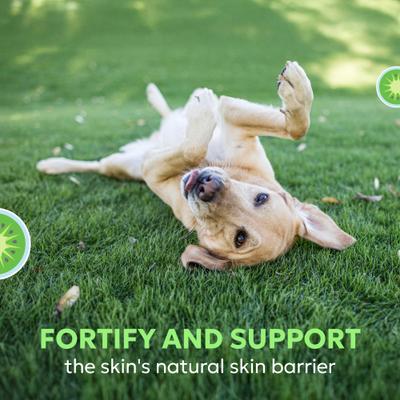 Show full view: Nutramax Dermaquin Skin Support Vitamins Chew Supplement for Large Dogs, 60 count slide 5 of 10