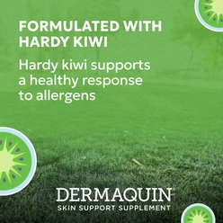 Nutramax Dermaquin Skin Support Vitamins Chew Supplement for Small & Medium Dogs & Cats, 60 count slide 2 of 8