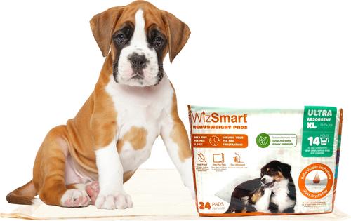 Show full view: WizSmart Heavyweight Ultra 14-Cup Dog & Puppy Training Pads, X-Large: 23.5 x 31.5-in, 24 count slide 7 of 9