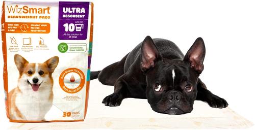 Show full view: WizSmart Heavyweight Ultra 10-Cup Dog & Puppy Training Pads, X-Large: 23.5 x 22-in, 30 count slide 7 of 10