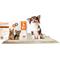 Show in main carousel: WizSmart Essentials Dog & Puppy Training Pads, Large: 23.5 x 22-in, 50 count slide 3 of 9