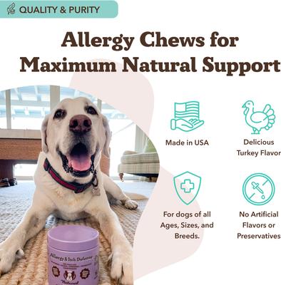 Show full view: Natural Dog Company Allergy & Itch Defense Chews Dog Supplement, 90 count slide 6 of 10