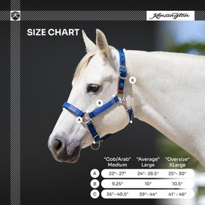 Kensington Protective Products Premium Horse Breakaway Halter, Black/Merlot, Average