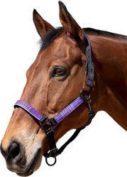 Kensington Protective Products Premium Reflective Horse Nylon Breakaway Halter, Average, Lavender Mint