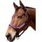 Show in main carousel: Kensington Protective Products Premium Reflective Horse Nylon Breakaway Halter, Average, Lavender Mint slide 1 of 9
