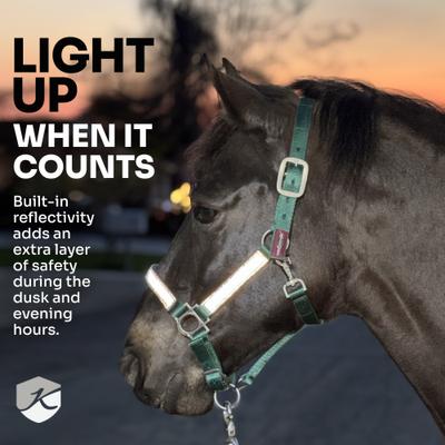 Show full view: Kensington Protective Products Premium Reflective Horse Nylon Breakaway Halter, Average, Imperial Jade slide 6 of 10
