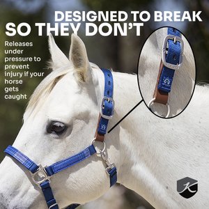Kensington Protective Products Premium Horse Breakaway Halter, Black/Merlot, Average