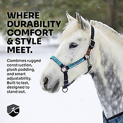 Kensington Protective Products Premium Reflective Horse Nylon Breakaway Halter, Hunter/Imperial Jade, Horse slide 2 of 8