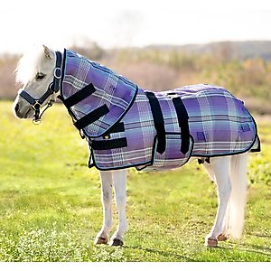 Kensington Protective Products UV Protective Mini Horse Fly Sheet, 50-in, Lavender Mint