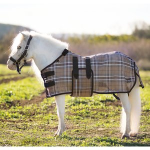 Kensington Protective Products UV Protective Mini Horse Fly Sheet, 50-in, Deluxe Black