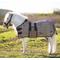 Show in main carousel: Kensington Protective Products UV Protective Mini Horse Fly Sheet, 46-in, Deluxe Black slide 2 of 9