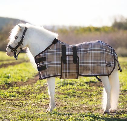 Show full view: Kensington Protective Products UV Protective Mini Horse Fly Sheet, 46-in, Deluxe Black slide 2 of 9