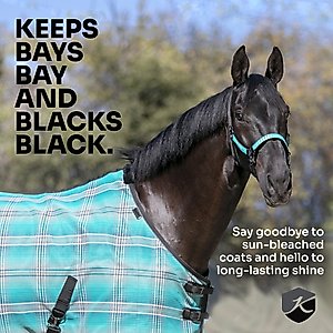 Kensington Protective Products UV Protective Horse Fly Sheet, 78-in, Black