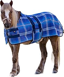 Kensington Protective Products UV Protective Mini Horse Fly Sheet, 50-in, Kentucky Blue