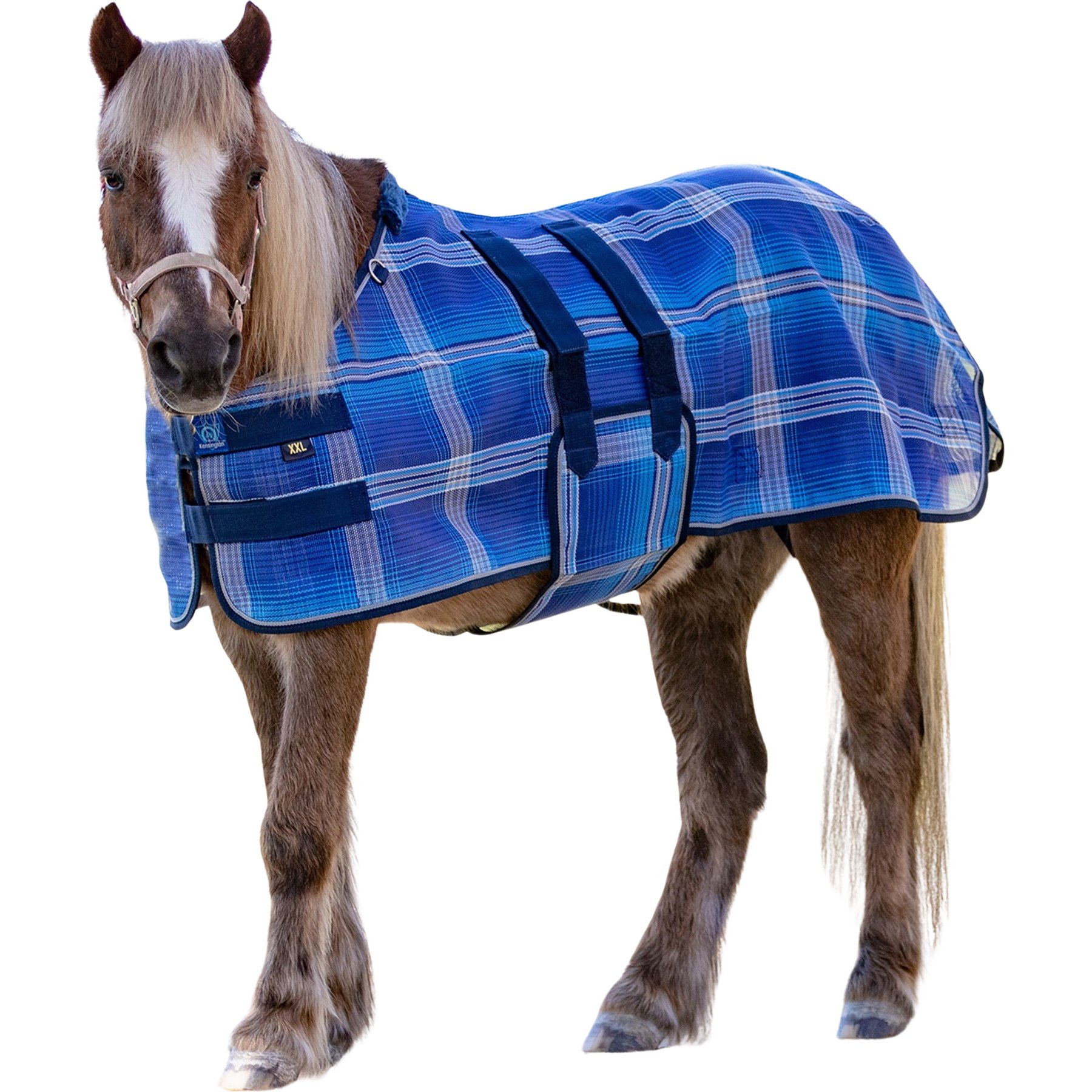 Kensington Protective Products UV Protective Mini Horse Fly Sheet, 50-in, Kentucky Blue