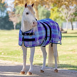 Kensington Protective Products UV Protective Mini Horse Fly Sheet, 50-in, Lavender Mint