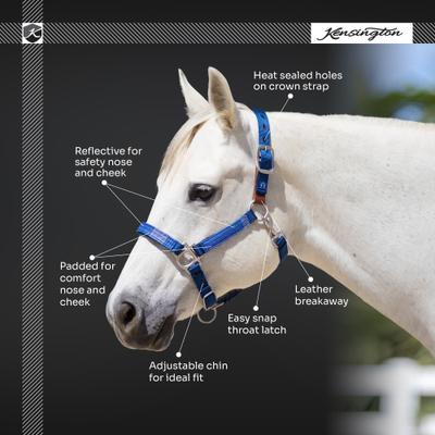 Show full view: Kensington Protective Products Premium Reflective Horse Nylon Breakaway Halter, Average, Imperial Jade slide 4 of 10