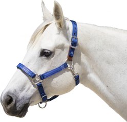 Kensington Protective Products Premium Reflective Horse Nylon Breakaway Halter, Small, Kentucky Blue