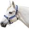 Show in main carousel: Kensington Protective Products Premium Reflective Horse Nylon Breakaway Halter, Small, Kentucky Blue slide 1 of 9