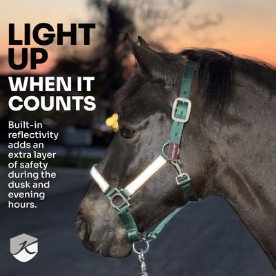 Show full view: Kensington Protective Products Premium Reflective Horse Nylon Breakaway Halter, Average, Lavender Mint slide 5 of 9