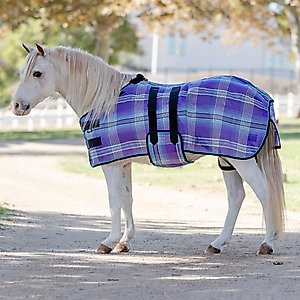 Kensington Protective Products UV Protective Mini Horse Fly Sheet, 50-in, Lavender Mint