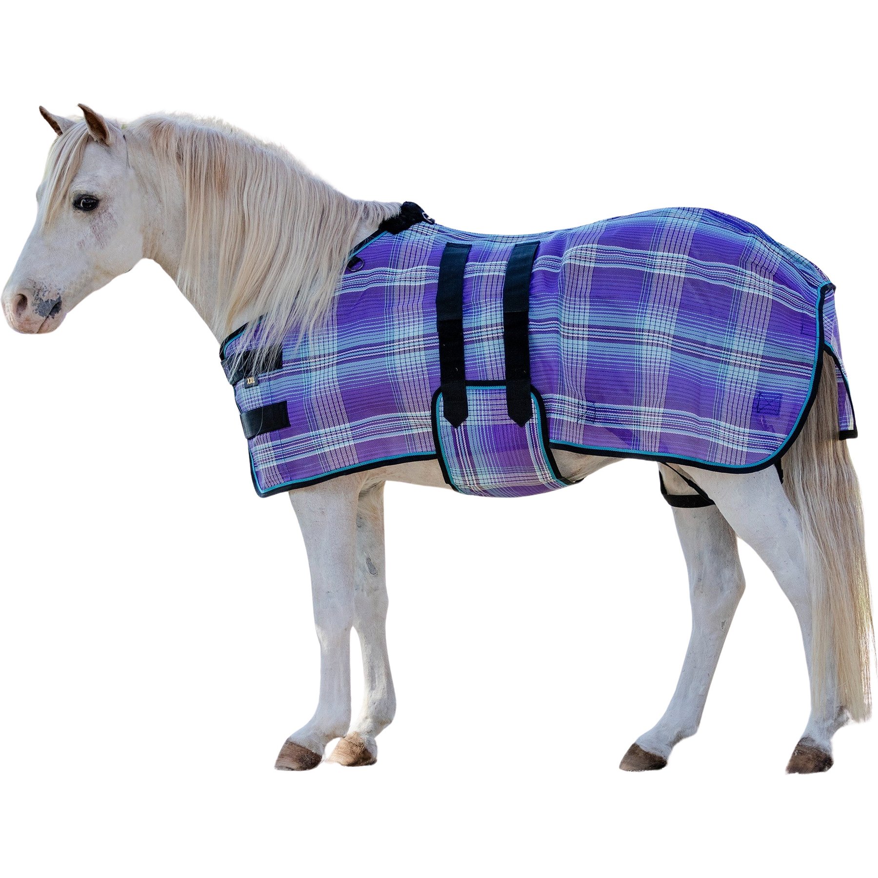 Kensington Protective Products UV Protective Mini Horse Fly Sheet, 54-in, Lavender Mint
