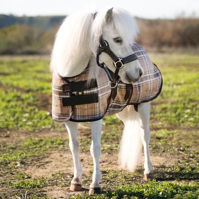 Show full view: Kensington Protective Products UV Protective Mini Horse Fly Sheet, 46-in, Deluxe Black slide 4 of 9