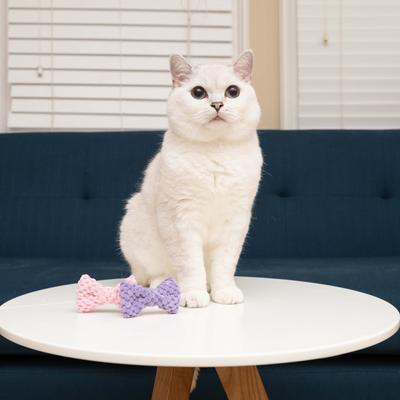 Show full view: Nala Crinkle Bowties Plush Cat Toy with Catnip, Pink/Purple, 2 count slide 2 of 4