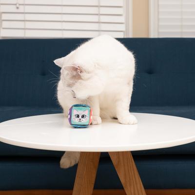 Show full view: Nala Dice Plush Cat Toy with Catnip, Multi Color, 2 count slide 2 of 4