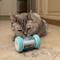 Show in main carousel: Nala Wheelie Drum Treat Dispensing Cat Toy with Catnip, Blue slide 7 of 9