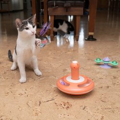 Nala Motorized Butterfly Spinner Teaser Wand Cat Toy, Pink/Purple slide 2 of 5