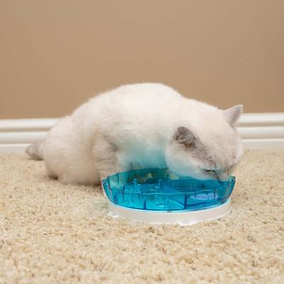 Show full view: Nala Kitty Reward Puzzle Feeder Cat Toy, Blue/Purple slide 5 of 8