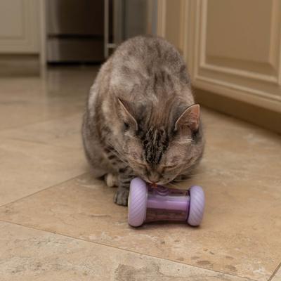 Show full view: Nala Wheelie Arch Treat Dispensing Cat Toy with Catnip, Purple slide 6 of 9