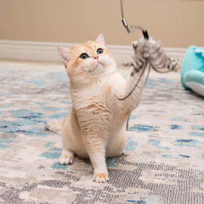 Show full view: Nala Feather with Bonus Attachment Agility Teaser Wand Cat Toy, Teal slide 4 of 6