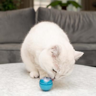 Show full view: Nala Wacky Bouncer LED Ball Cat Toy, Purple/Blue, 2 count slide 4 of 6