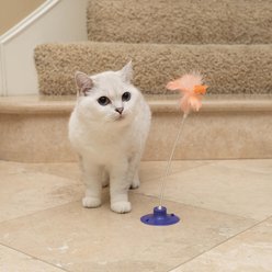 Nala Feather Flyer Suction Tail Chaser Teaser Wand Cat Toy, Purple/Pink slide 2 of 4