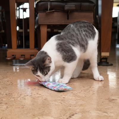 Show full view: Nala Kicker Plush Cat Toy with Catnip, Multi Color, 2 count slide 5 of 7