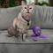 Show in main carousel: Nala Octopus Plush Cat Toy with Catnip, Purple slide 5 of 7