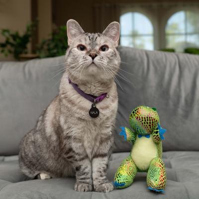 Show full view: Nala Dino Plush Cat Toy with Catnip, Green slide 4 of 6
