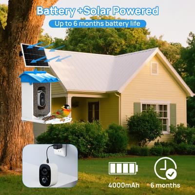 Show full view: Bueteka Smart Solar Powered Bird Feeder with Camera slide 6 of 10