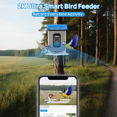 Show full view: Bueteka Smart Solar Powered Bird Feeder with Camera slide 3 of 10