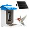 Show in main carousel: Bueteka Smart Solar Powered Bird Feeder with Camera slide 1 of 10