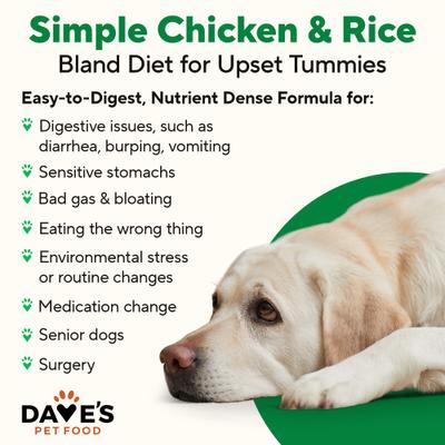 Show full view: Dave's Pet Food Restricted Bland Diet Sensitive Stomach Digestive Care Lamb & Rice Canned Wet Dog Food, 13.2-oz, case of 12 slide 3 of 13