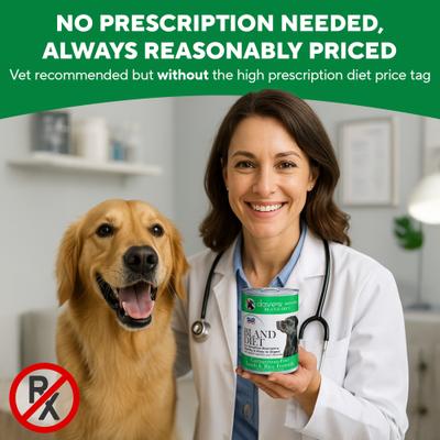 Show full view: Dave's Pet Food Restricted Bland Diet Sensitive Stomach Digestive Care Lamb & Rice Canned Wet Dog Food, 13.2-oz, case of 12 slide 6 of 13