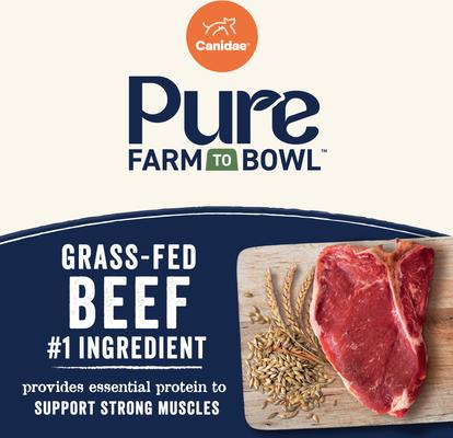 Show full view: CANIDAE Pure Farm To Bowl Grass-Fed Beef & Barley Recipe Dry Dog Food, 22-lb bag slide 5 of 11