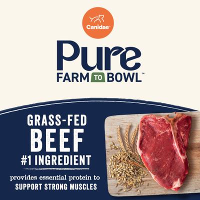 Show full view: CANIDAE PURE with Wholesome Grains Real Angus Beef & Barley Recipe + Real Salmon & Barley Recipe Dry Dog Food slide 4 of 9