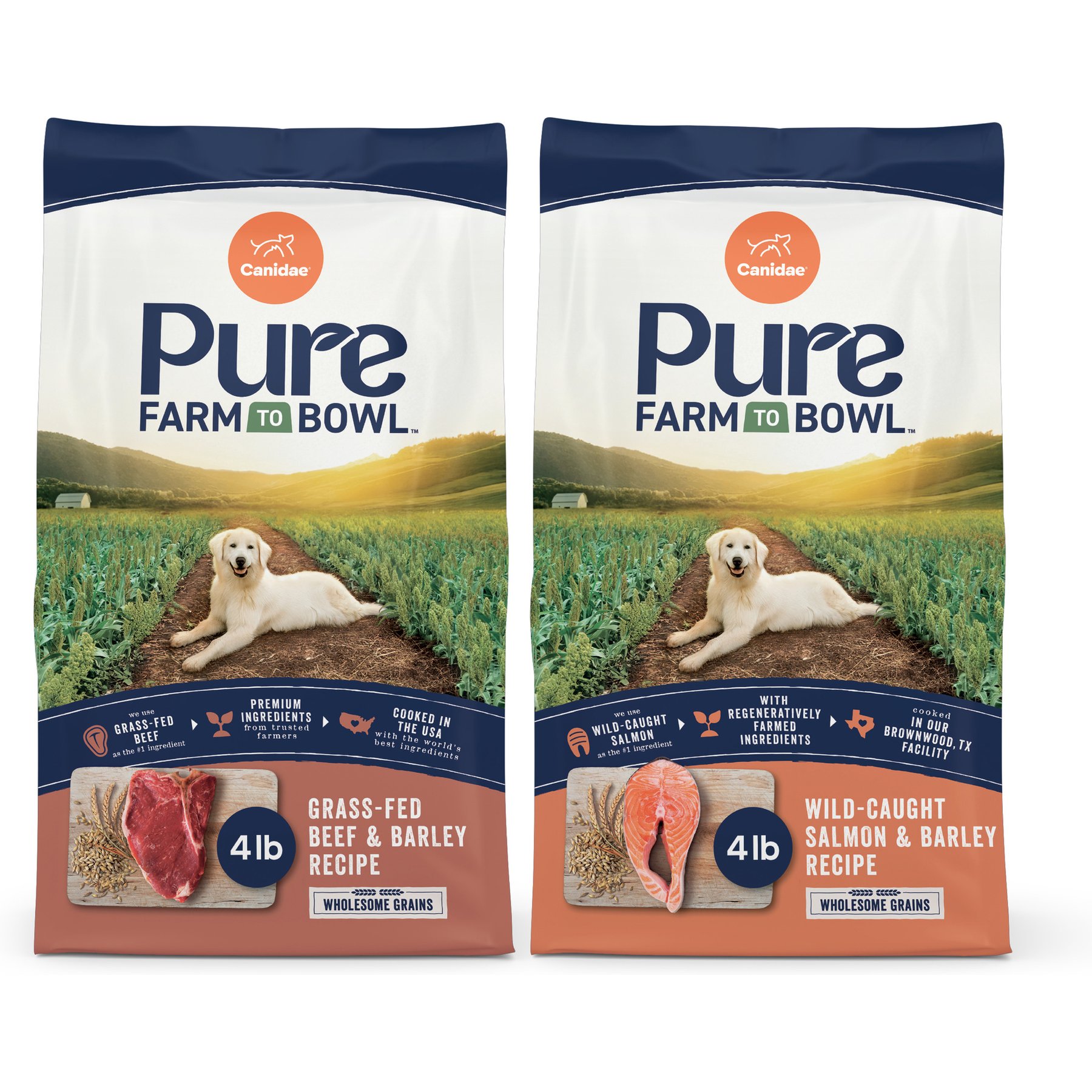 CANIDAE PURE with Wholesome Grains Real Angus Beef & Barley Recipe + Real Salmon & Barley Recipe Dry Dog Food