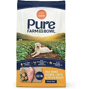 CANIDAE Grain-Free PURE Limited Ingredient Salmon & Sweet Potato Recipe Dry Dog Food
