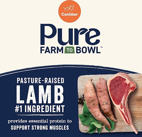 Show full view: CANIDAE Pure Farm To Bowl Pasture-Raised Lamb & Sweet Potato Recipe Dry Dog Food, 4-lb bag slide 5 of 11