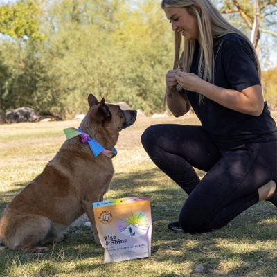 Show full view: Bundle x Joy Rise & Shine Chicken Grain-Free Superfood Bars Jerky Dog Treats, 16-oz bag slide 6 of 8